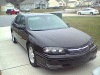 1st impala.jpg
