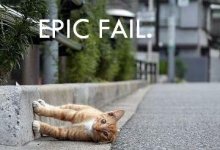 5877_epiccat.jpg