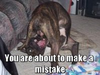 dog fail.jpg