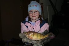 stuff 547 (Large).jpg