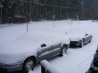 Snow Dec 14.jpg