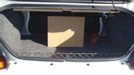 Trunk-1.JPG