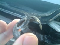 2009-11-23 15.14.24.jpg