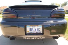 DSC_0210 (Large).JPG