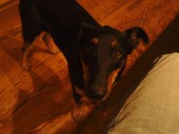 downsized_0916001902.jpg
