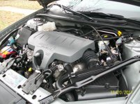 100_1172a.JPG