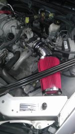 IMAG1258.jpg