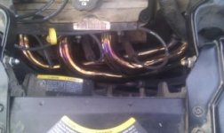 golden headers.jpg golden headers.jpg