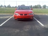 yellow fogs 3.jpg