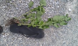 uploadfromtaptalk1346791683788.jpg uploadfromtaptalk1346791683788.jpg