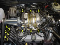 plugwires.jpg