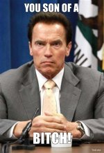 you-son-of-a-bitch.jpg