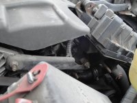 Copy of DSC04234.JPG