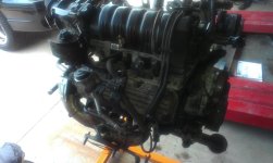 IMAG0236.JPG