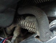 sample hose.jpg