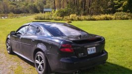 s43rf6.jpg