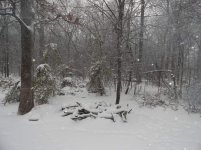 DSC01925.jpg