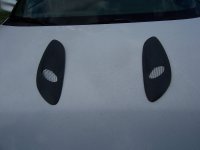 hood extractors 001.jpg