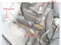 Pic#2.jpg