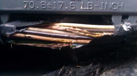 MOUSE-CHEWED-WIRES-2.jpg