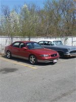 regal (Small) (Medium).jpg