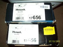 Thrush 001.jpg