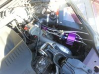 car nos under hood.jpg