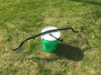 gif 2.gif