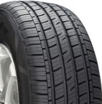 Arizonian-Silver-Edition-III-Tire-Review-297x300.jpg