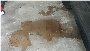 20161209_150701 - Copy.jpg