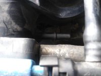ls4part2.jpg