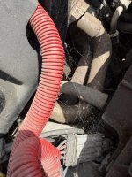 IMG_0512.jpeg