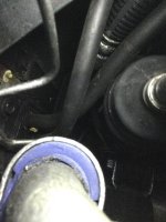IMG_0507.jpeg