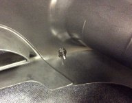 IMG_1214.jpeg