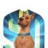 scoobyydooooooo