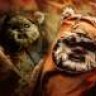 ewok